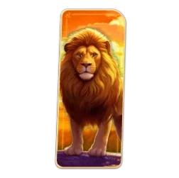 Lion
Safari
